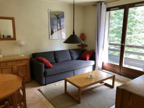 Appartement coeur de station Risoul 1850